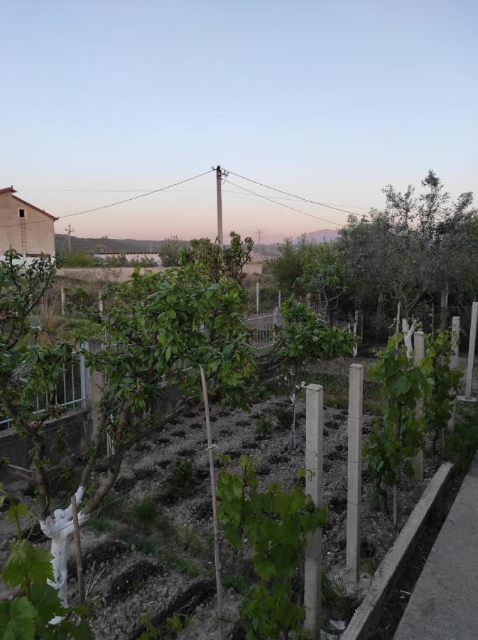 Apartmán Alanthia Vlorë Exteriér fotografie